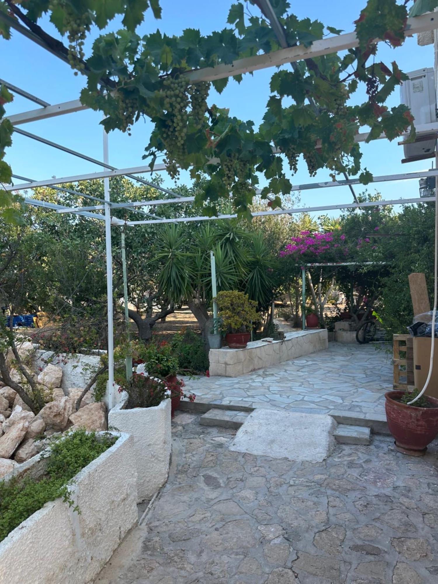 Solmar Aegina With Private Pool - Jacuzzi Appartement Khloi Buitenkant foto