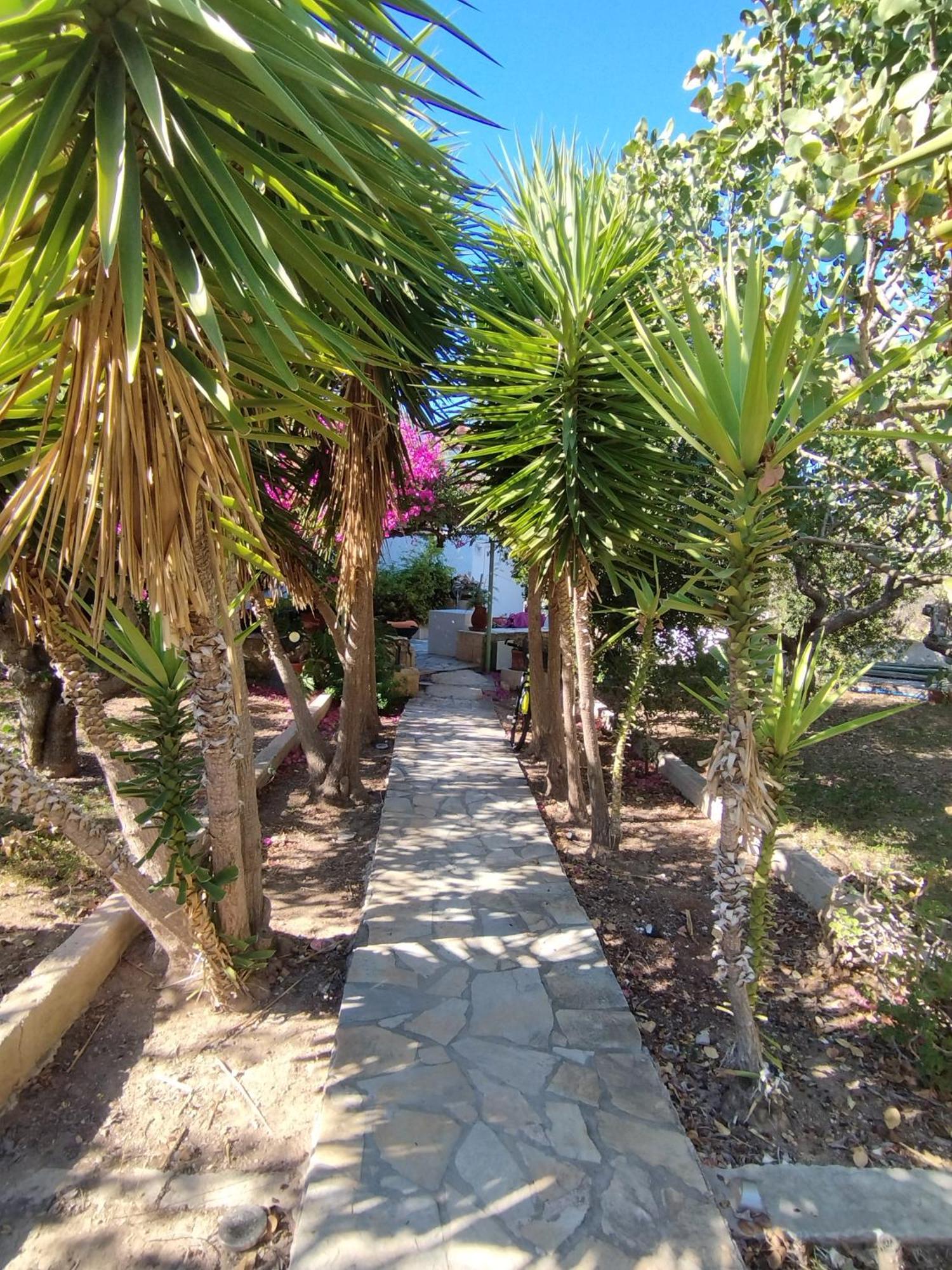 Solmar Aegina With Private Pool - Jacuzzi Appartement Khloi Buitenkant foto